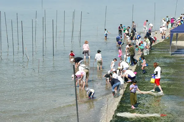 竹島の写真・動画_image_191164