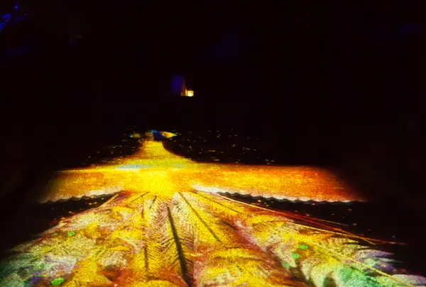 ニジゲンノモリ ナイトウォーク 火の鳥の写真・動画_image_191256