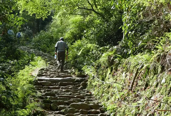 槙尾山施福寺の写真・動画_image_191337