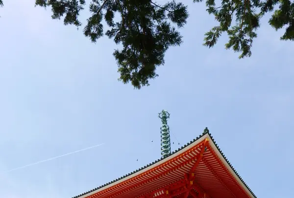 壇上伽藍の写真・動画_image_191348