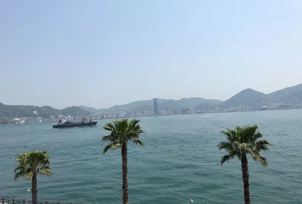 唐戸市場の写真・動画_image_191495