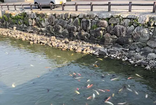 萩城の写真・動画_image_191516