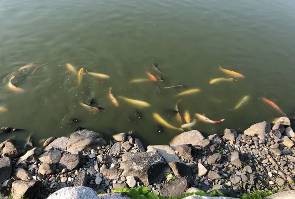 萩城の写真・動画_image_191517