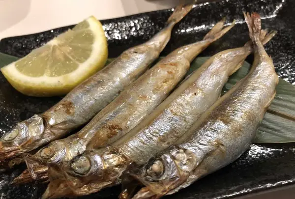 串揚げ焼き・やまちゃんの写真・動画_image_191569