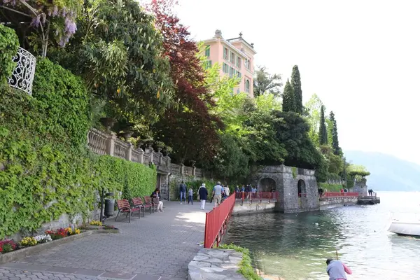 バレンナの写真・動画_image_191608