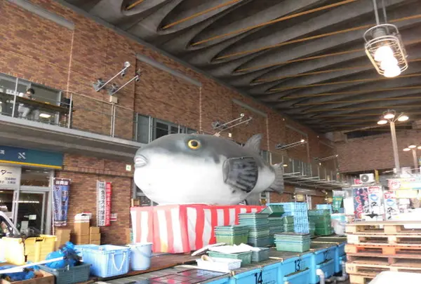 唐戸市場の写真・動画_image_191629