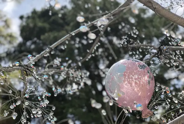 箱根ガラスの森美術館の写真・動画_image_191703