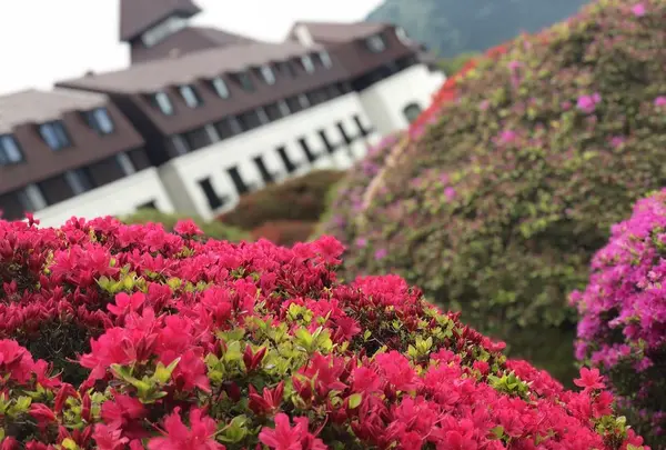 山のホテルの写真・動画_image_191707