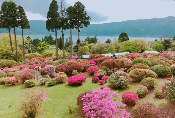 山のホテルの写真・動画_image_191708