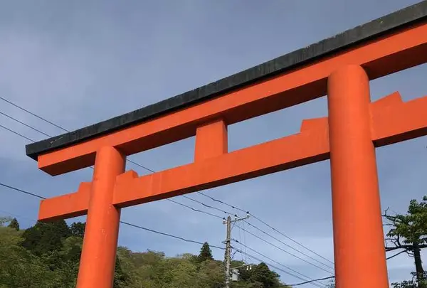 箱根神社の写真・動画_image_191723