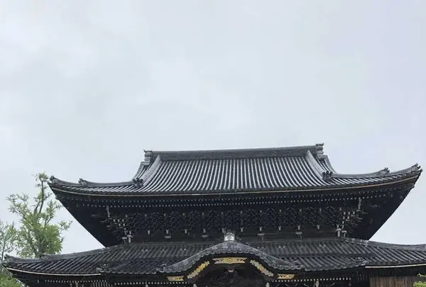 高田本山専修寺の写真・動画_image_191811