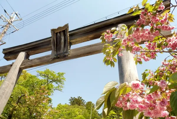 油日神社の写真・動画_image_192058