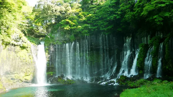 白糸の滝 展望台の写真・動画_image_192076