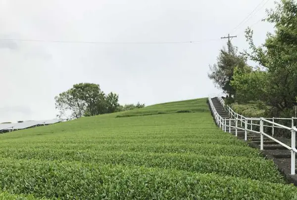 首塚稲荷神社の写真・動画_image_192263