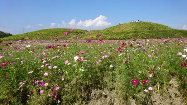 （天川）二子山古墳の写真・動画_image_192283