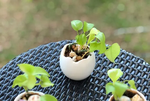 笛吹川フルーツ公園の写真・動画_image_192417