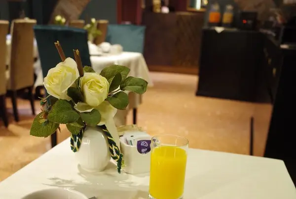 Hotel Tizianoの写真・動画_image_192449