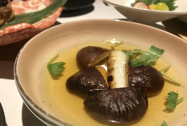 松に鱗の写真・動画_image_192540