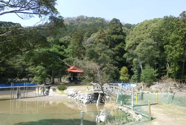 龍泉寺の写真・動画_image_192646
