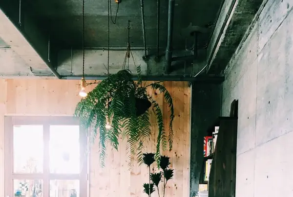 Meals and Grind/Drive Innの写真・動画_image_192729