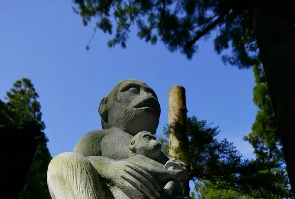 藤原町坂本８４−２の写真・動画_image_193036