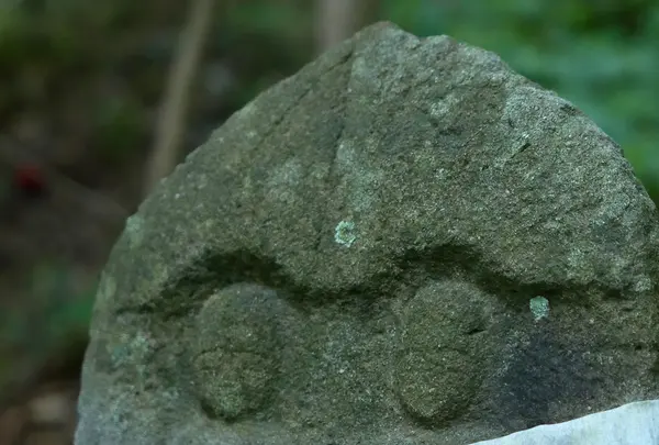 聖宝寺の写真・動画_image_193052