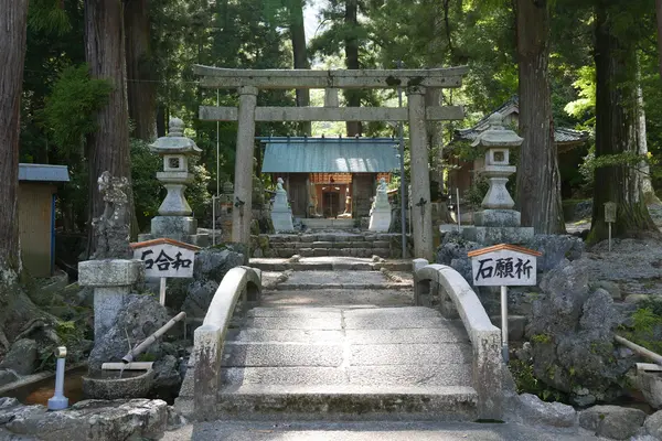 藤原町坂本８４−２の写真・動画_image_193055