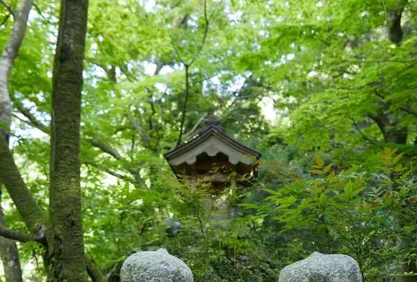 聖宝寺の写真・動画_image_193064