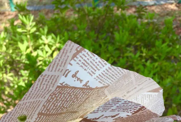 城北中央公園の写真・動画_image_193072