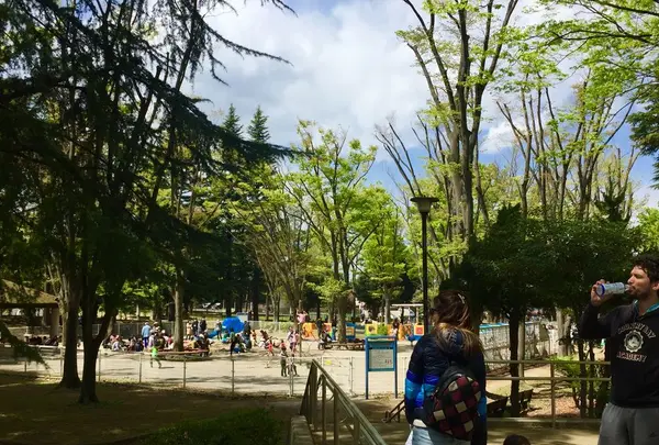 城北中央公園の写真・動画_image_193074