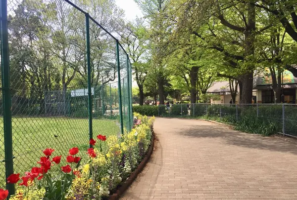 城北中央公園の写真・動画_image_193075