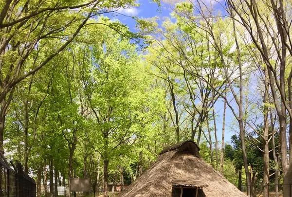 城北中央公園の写真・動画_image_193079