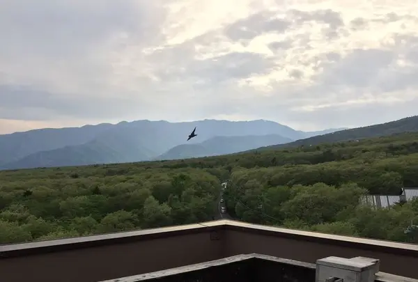 那須いちやホテルの写真・動画_image_193201