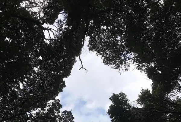 打吹公園の写真・動画_image_193352