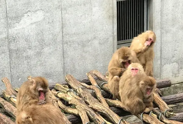 打吹公園の写真・動画_image_193353