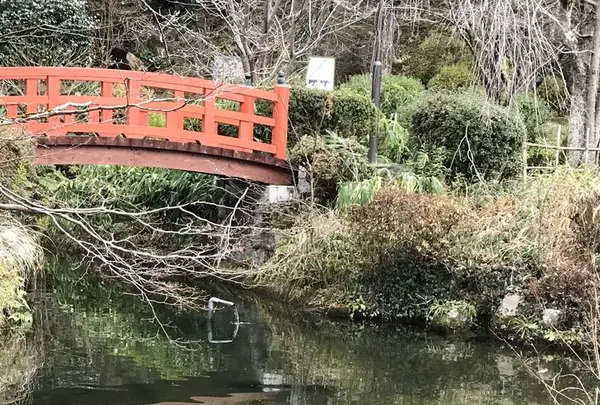 打吹公園の写真・動画_image_193354
