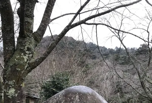 打吹公園の写真・動画_image_193357