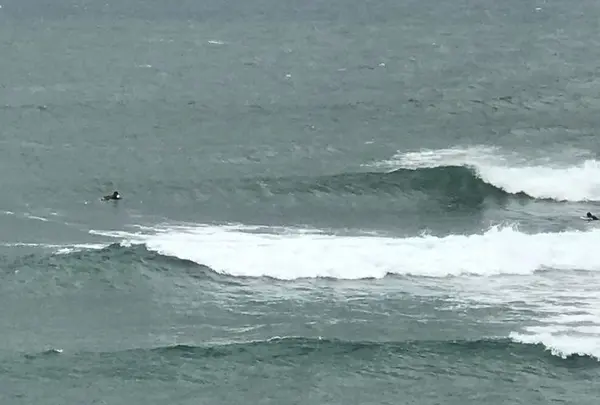 白兎海岸の写真・動画_image_193382