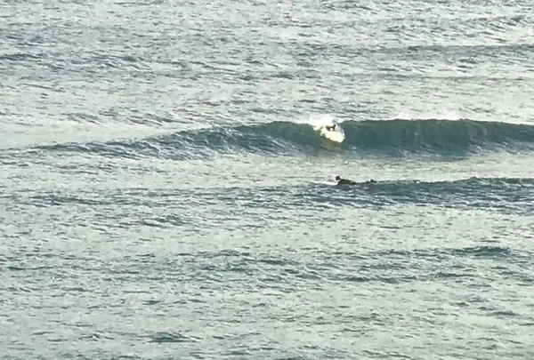 白兎海岸の写真・動画_image_193383