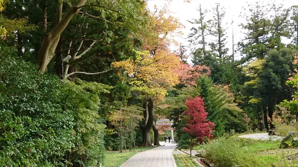 彌彦神社の写真・動画_image_193426