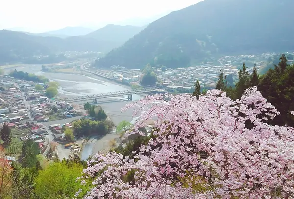 智者の丘公園の写真・動画_image_193435