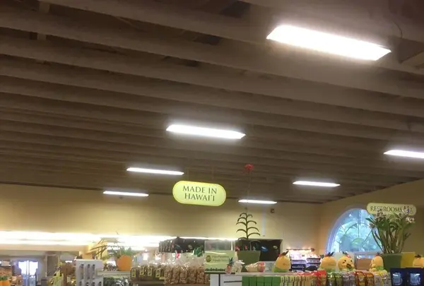 Dole Plantationの写真・動画_image_193587