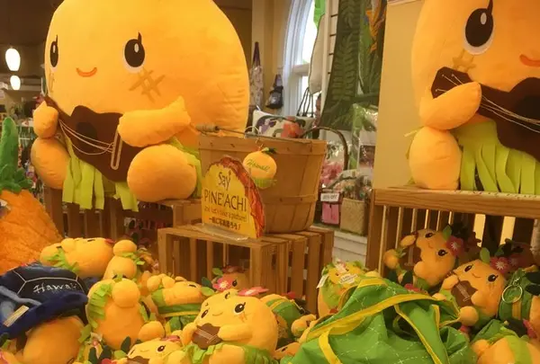 Dole Plantationの写真・動画_image_193588