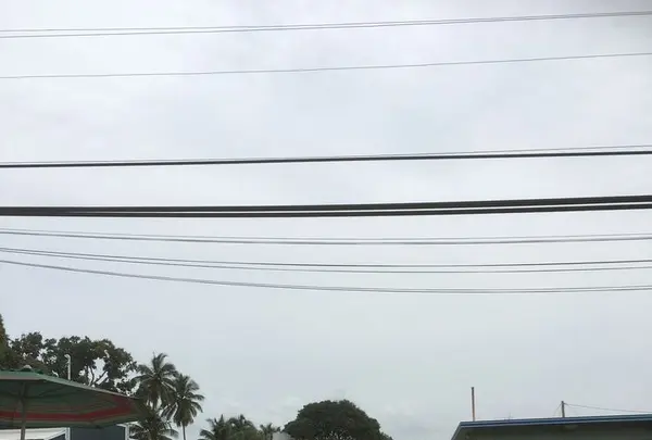 Big Wave Shrimpの写真・動画_image_193596