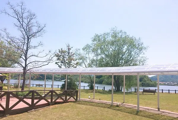 水辺のＨＯＴＥＬ 小さな白い花の写真・動画_image_193640