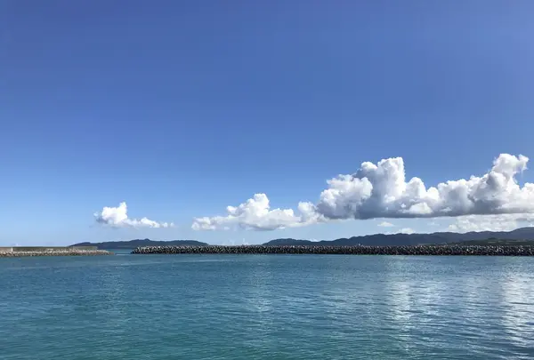 竹富島の写真・動画_image_193684