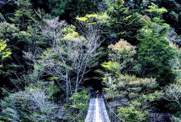 寸又峡温泉の写真・動画_image_193687