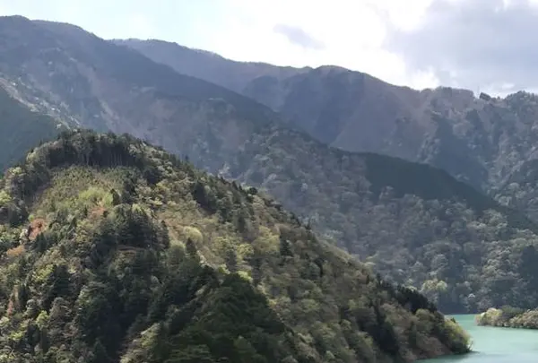 寸又峡温泉の写真・動画_image_193688