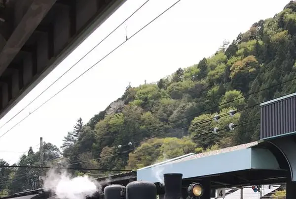 寸又峡温泉の写真・動画_image_193689