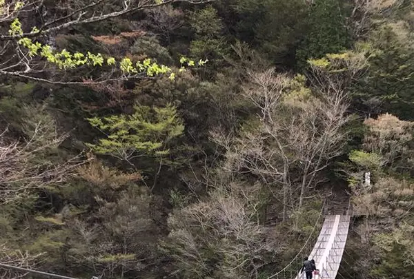 寸又峡温泉の写真・動画_image_193691